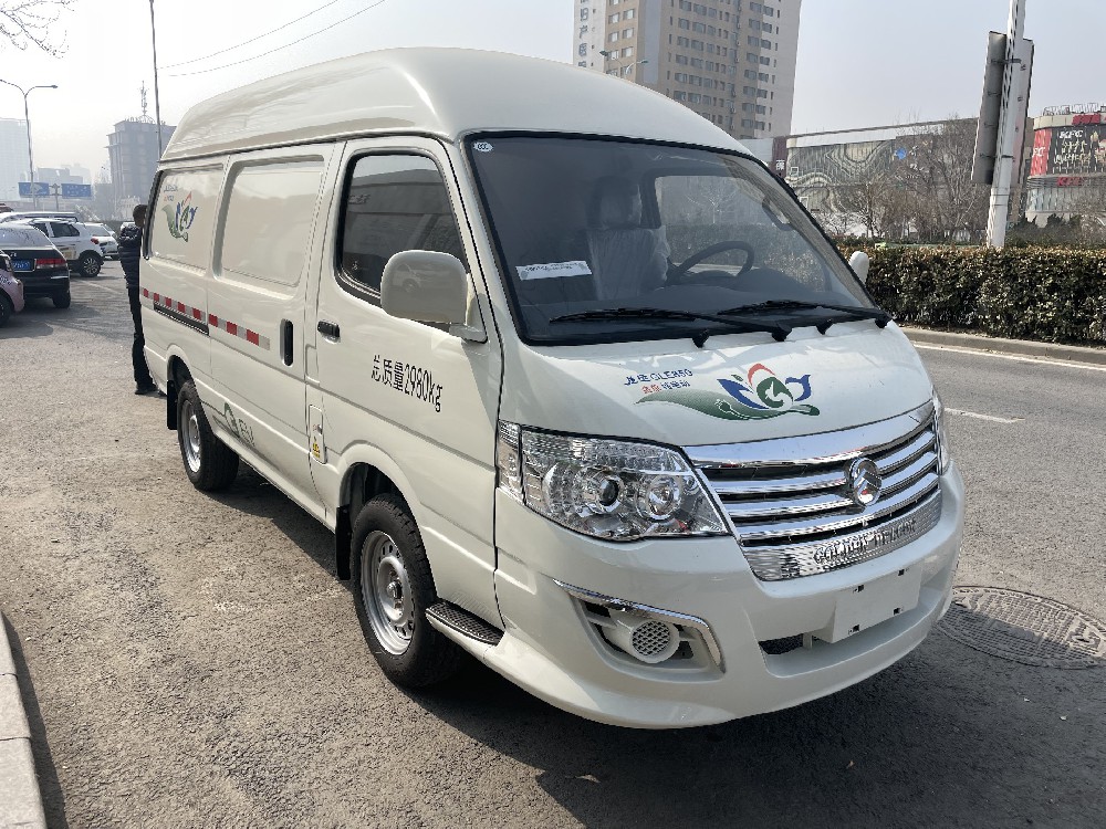 海狮龙运850S纯电厢货